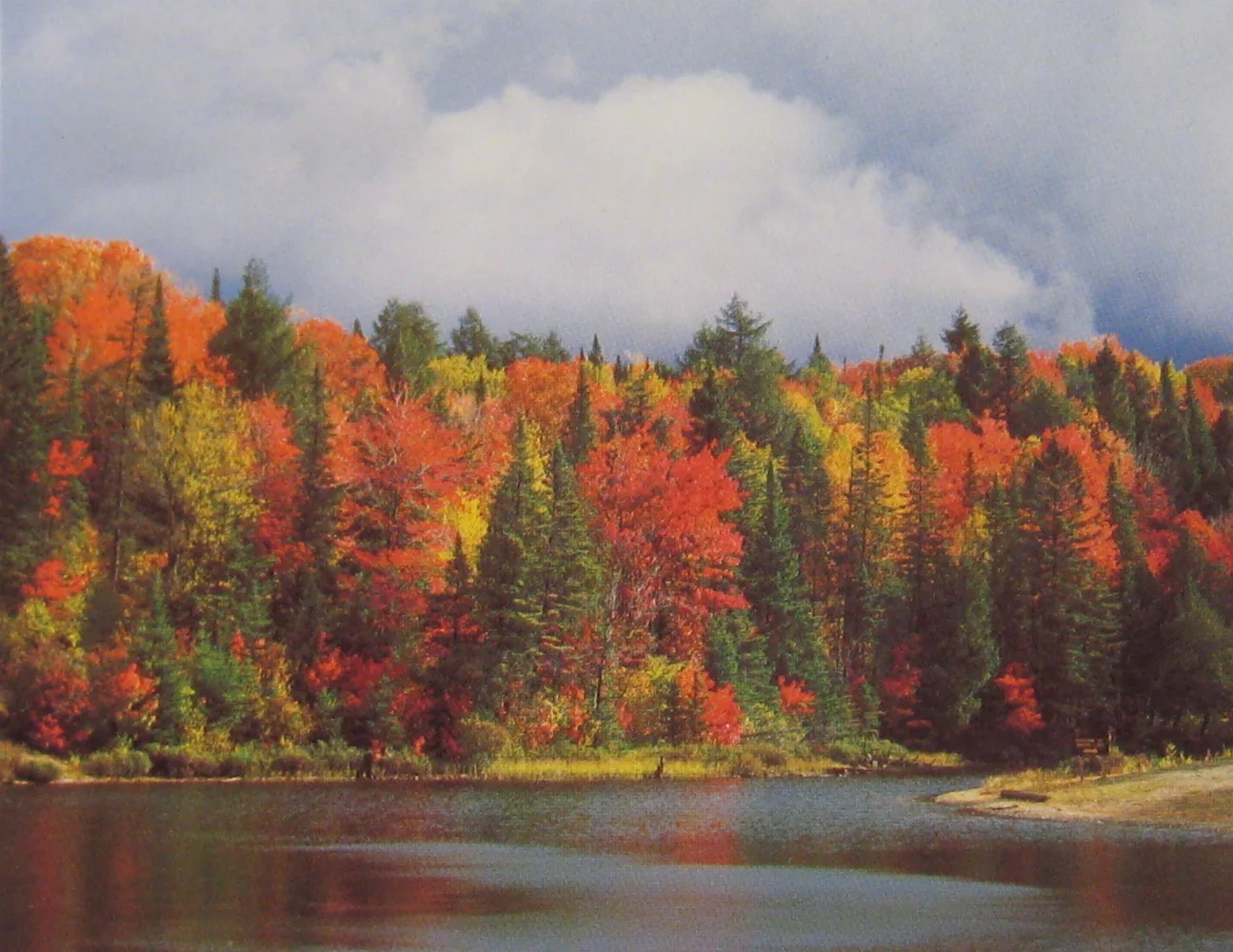 Autumn colour beside the water in the Paudash Lake area
