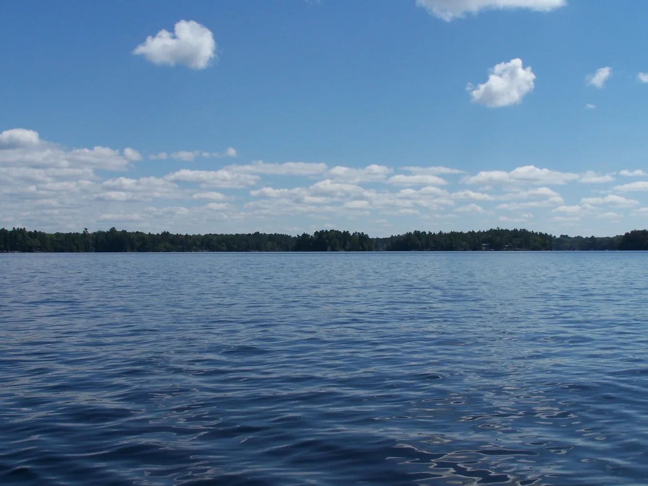Pine-covered islands on Lake Muskoka
